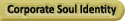 to Corporate Soul Identity